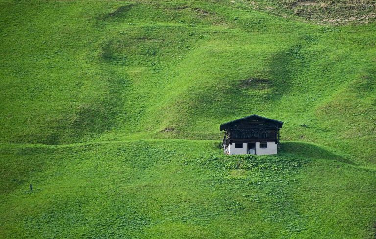 découvrez tout sur les pellicules : causes, symptômes et traitements efficaces pour retrouver un cuir chevelu sain et prévenir les démangeaisons. obtenez des conseils d'experts et des solutions naturelles pour combattre ce problème fréquent.