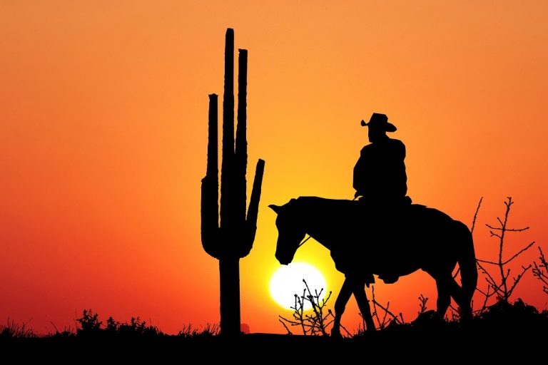 découvrez l'univers fascinant des westerns, où l'aventure et l'action se mêlent sous le soleil brûlant de l'ouest américain. plongez dans des récits épiques de cowboys, de hors-la-loi et de conflits légendaires, tout en explorant l'héritage cinématographique de ce genre emblématique.