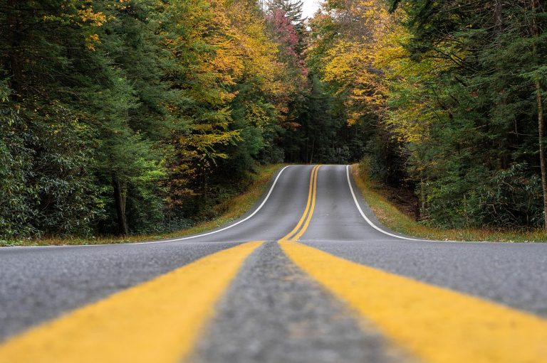 découvrez l'univers fascinant des road movies, des films emblématiques qui racontent des voyages, des aventures et des rencontres sur la route. plongez dans des récits captivants qui explorent la quête de soi, la liberté et la découverte de paysages inoubliables.