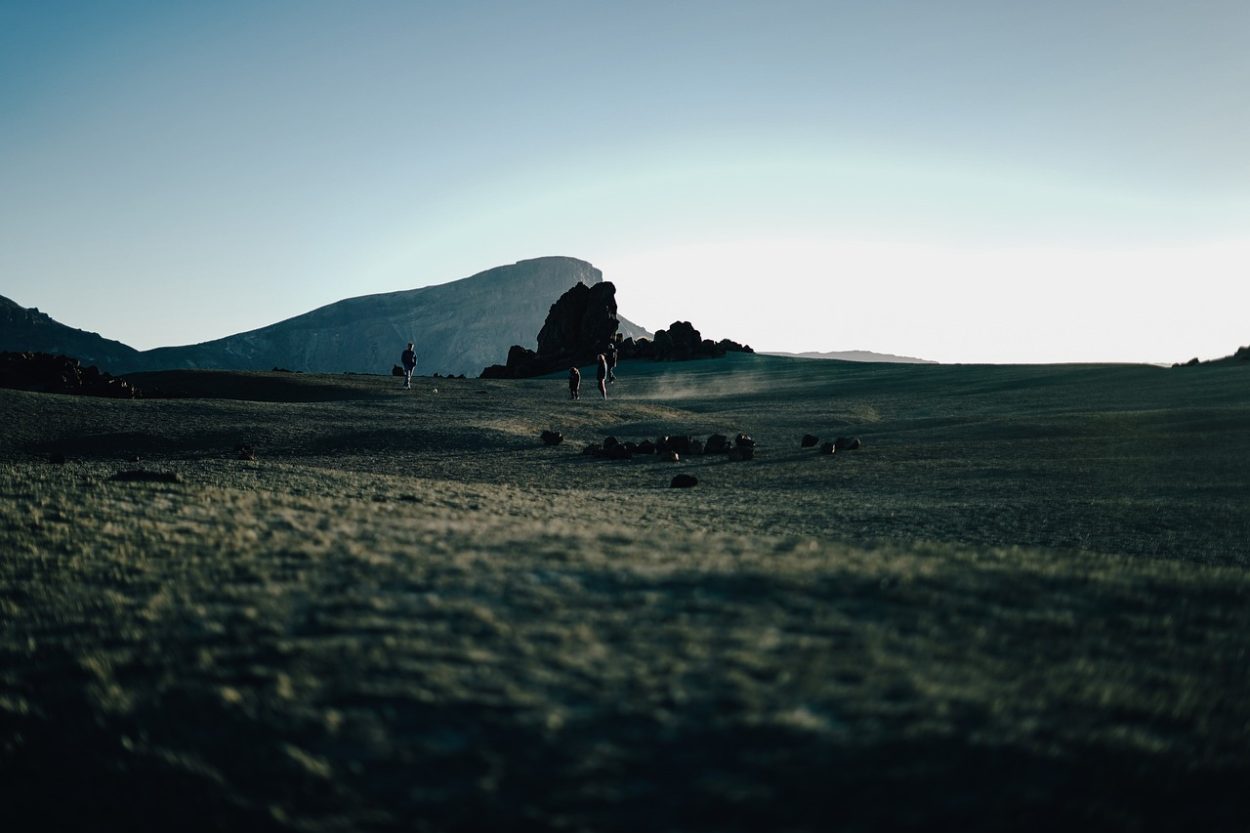 découvrez une expérience cinématographique inoubliable qui vous plonge au cœur de récits captivants, alliant visuels époustouflants et son immersive. vivez chaque moment comme si vous étiez sur grand écran!