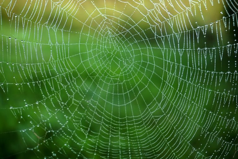 découvrez l'univers captivant des web séries, où des histoires innovantes et des talents émergents se rencontrent. plongez dans une variété de genres, des drames poignants aux comédies hilarantes, et profitez de contenus exclusifs à regarder en streaming.
