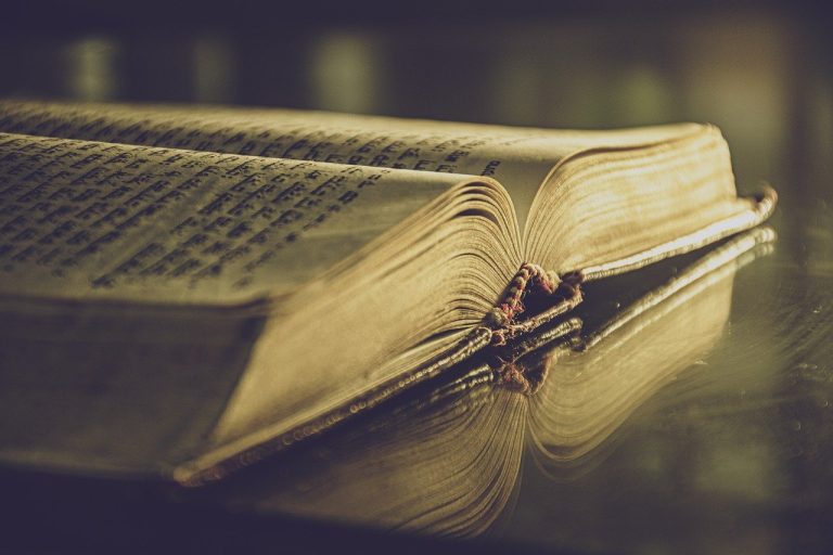 découvrez l'art du visual storytelling, une technique puissante pour captiver votre audience et transmettre des récits percutants à travers des images et des visuels. apprenez à créer des histoires visuelles qui engagent et inspirent.