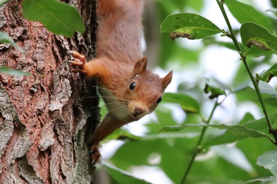 découvrez l'importance de la calibration pour garantir la précision et la fiabilité de vos instruments de mesure. apprenez les différentes méthodes de calibration et comment elles peuvent améliorer la performance de vos équipements dans divers secteurs d'activité.