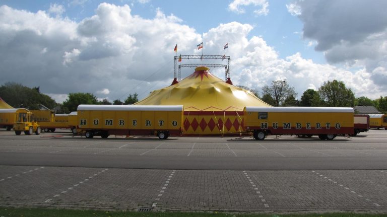 découvrez l'univers fascinant du cirque : numéros spectaculaires, artistes talentueux, acrobaties, clowns et magie pour émerveiller petits et grands. plongez dans l'ambiance colorée et festive du circus !