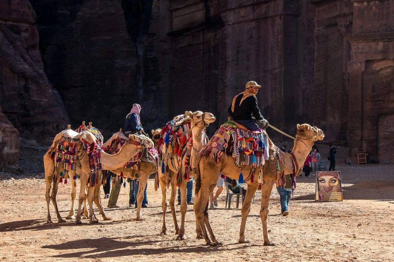 découvrez l'archéologie : l'étude fascinante des civilisations anciennes à travers les vestiges, les fouilles et les découvertes historiques. plongez dans les secrets du passé !