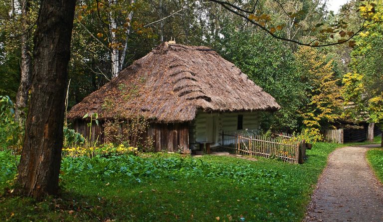 découvrez l'ethnographie : une méthode de recherche en sciences sociales qui étudie les cultures, comportements et modes de vie des groupes humains à travers l'observation et l'immersion sur le terrain.