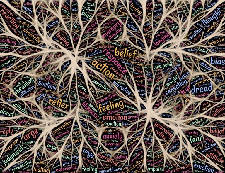 découvrez les bases de la neuroscience, la science qui étudie le fonctionnement du cerveau et du système nerveux, ainsi que ses applications dans la santé, l'apprentissage et le comportement humain.