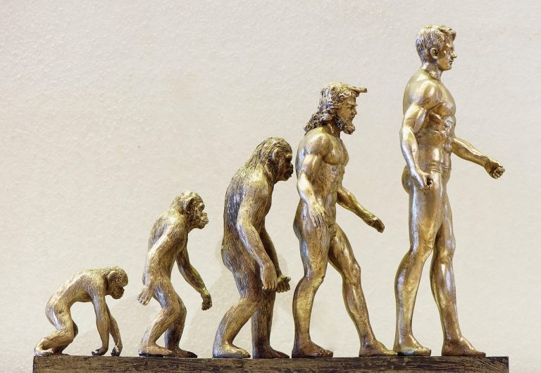 découvrez l'évolution du cirque au cinéma, de ses débuts à ses représentations modernes, et explorez comment cet art captivant a inspiré de nombreux films.